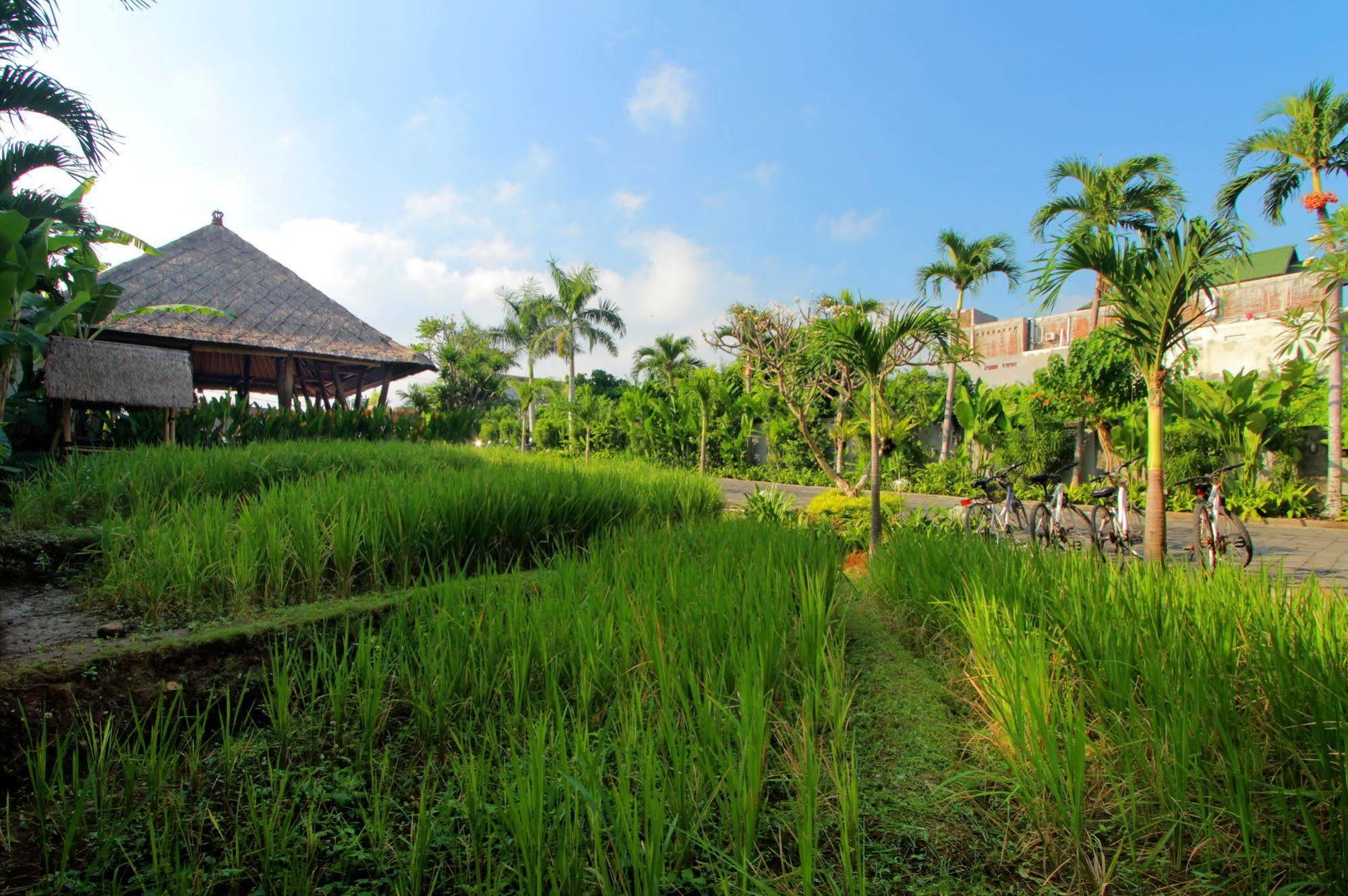 The Kirana Canggu Hotel Esterno foto